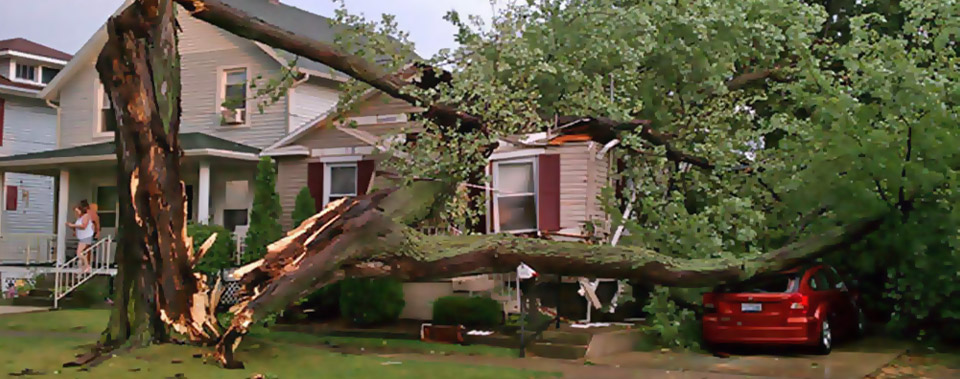 Insurance Claims